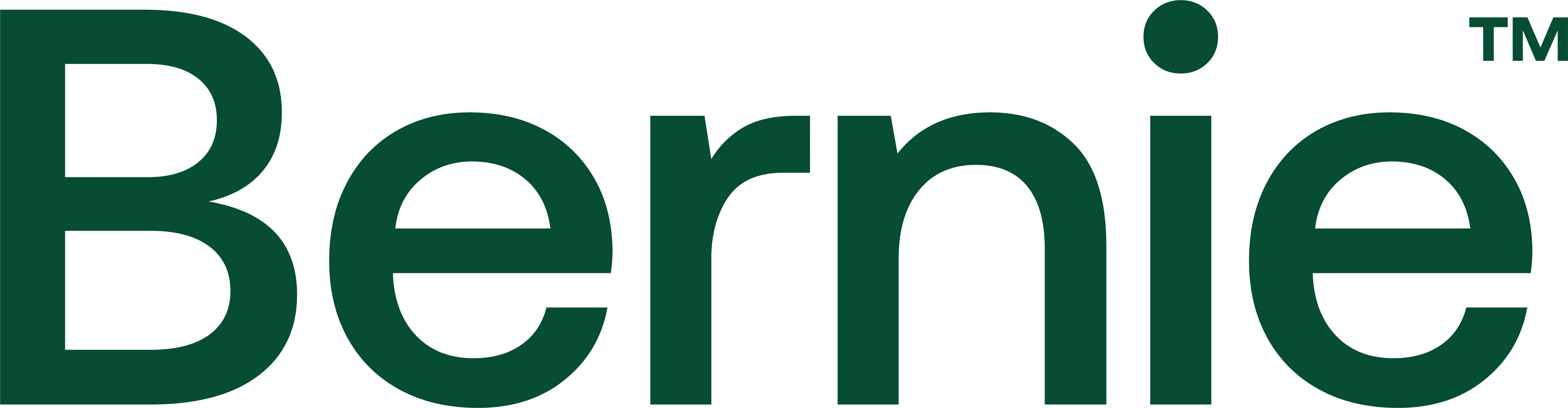 Bernie logo