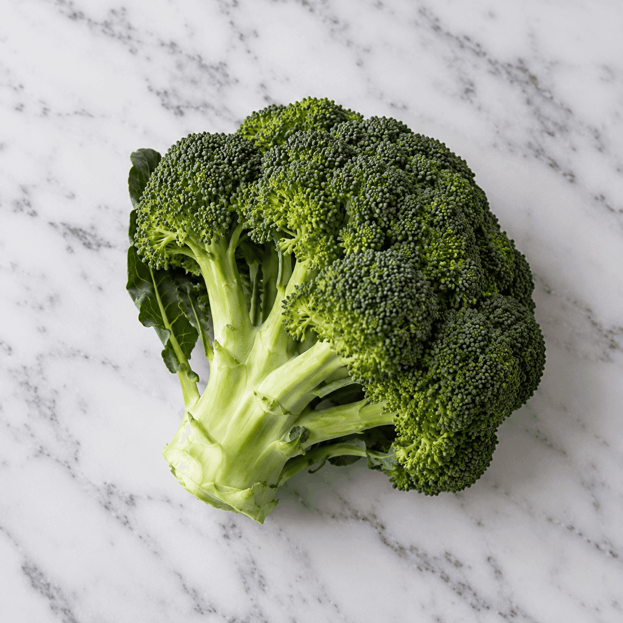 Broccoli
