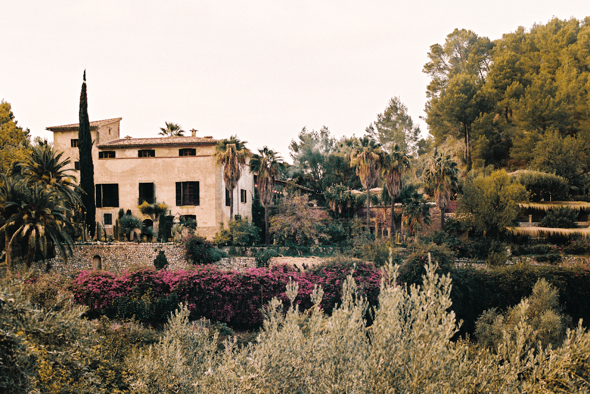 Hotel Corazon