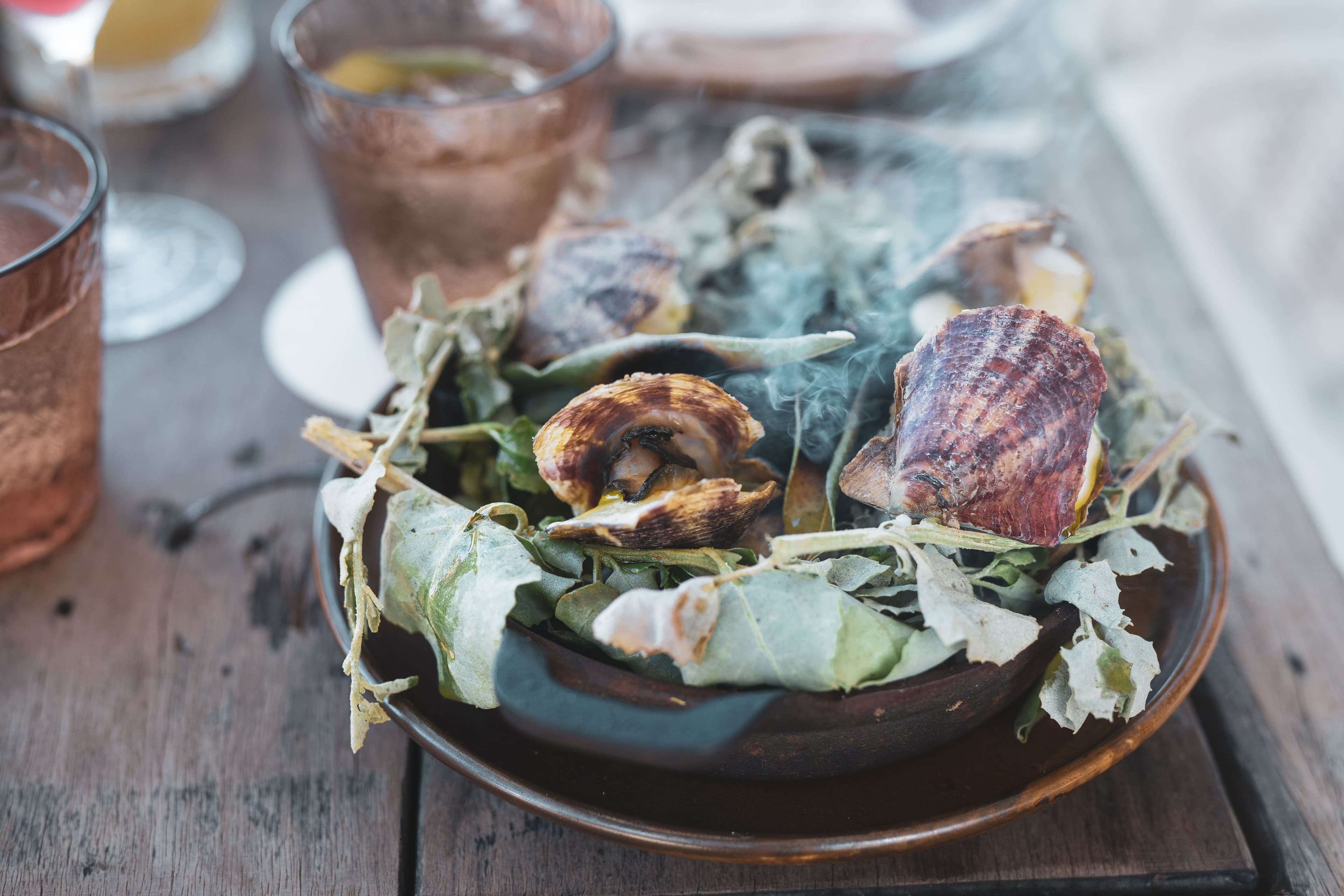 Akoya oysters on hot coals w macadamia & lemon myrtle.jpg