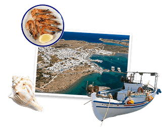 Antiparos guide artwork