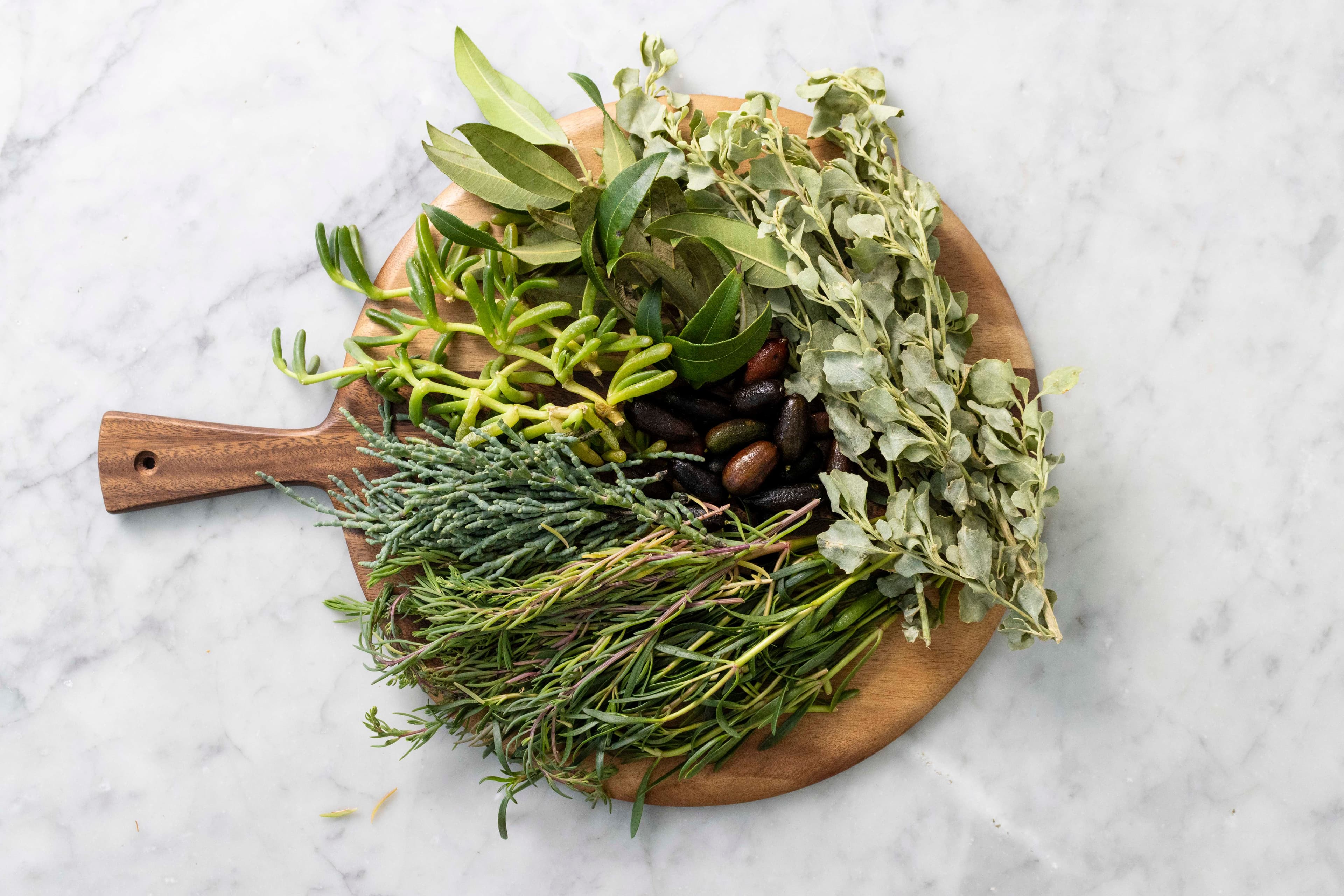 CW0879_How-to cook with Australian coastal native ingredients_STILL-4734.jpg