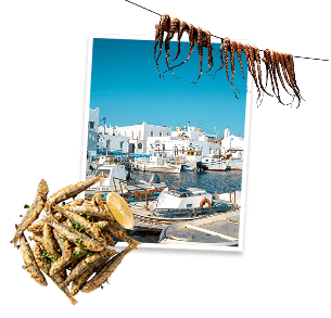 Paros guide artwork