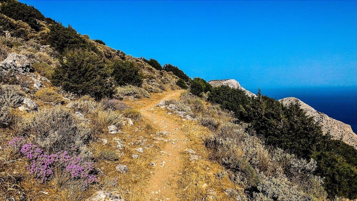 Sifnos Old Stone Trails
