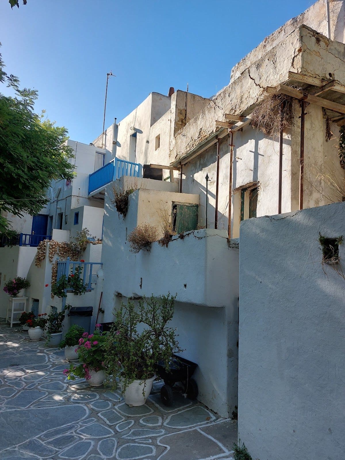 Kastro
