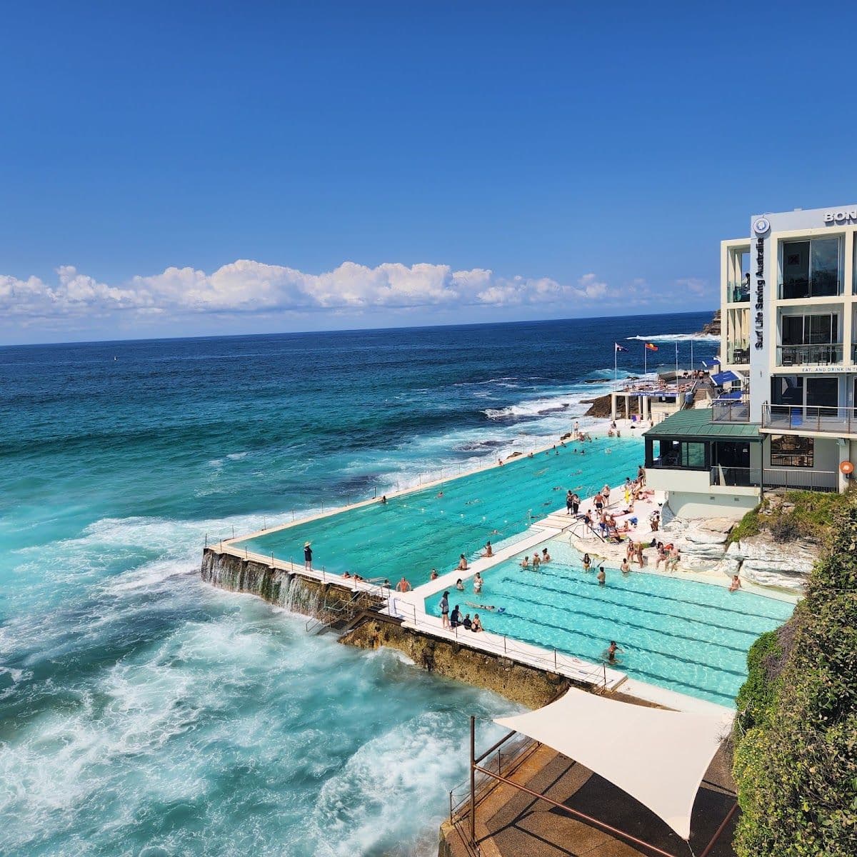 Bondi Icebergs