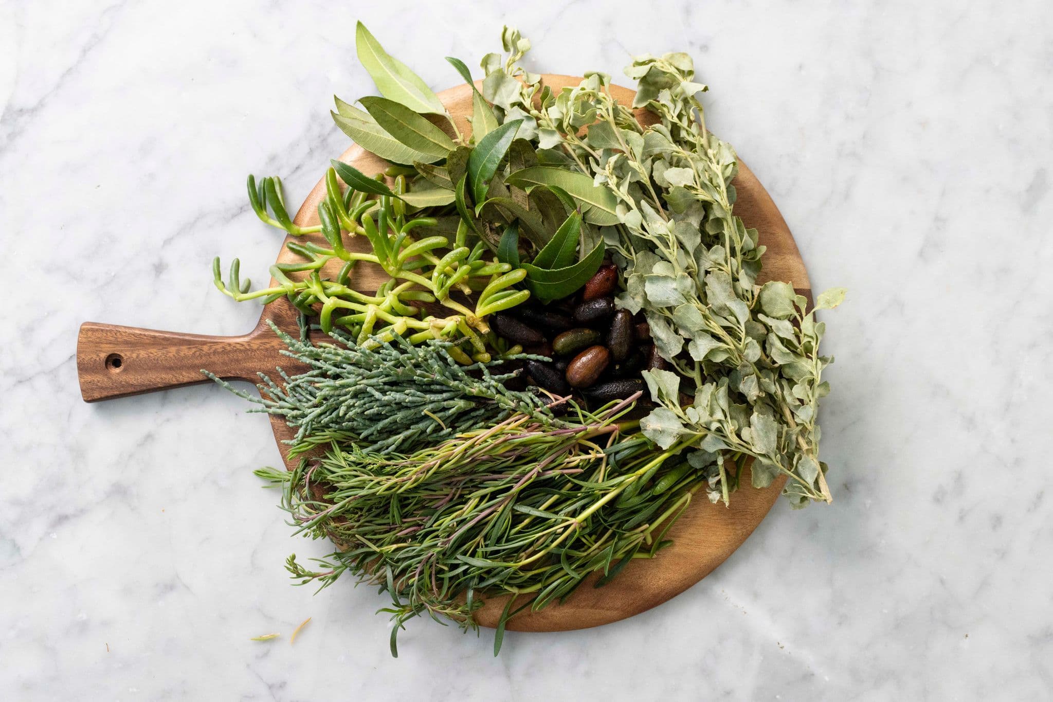 LEARN: How to Cook with Australian Coastal Native Ingredients
